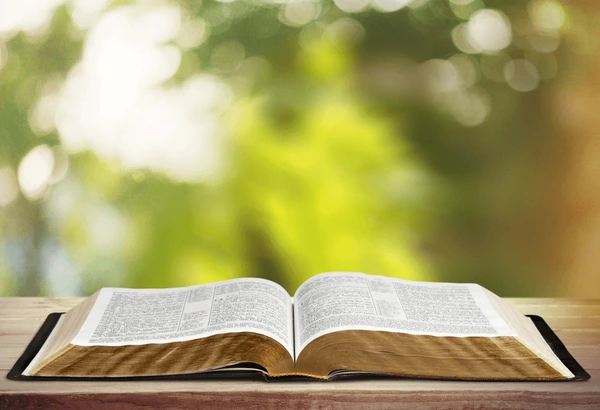 Bible